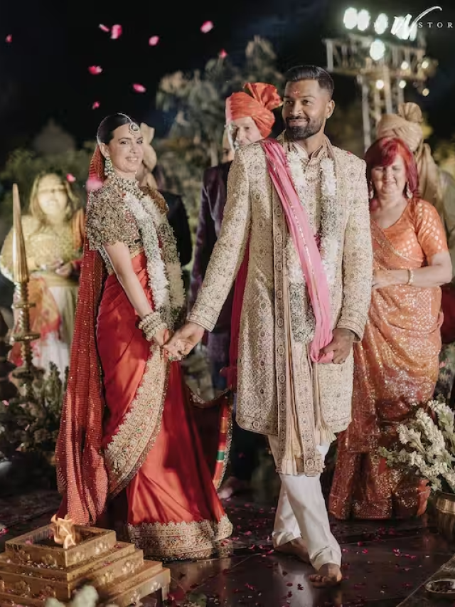 नताशा स्टेनकोविक-हार्दिक पांड्या ने लिए सात फेरे, तस्वीरें आई सामने