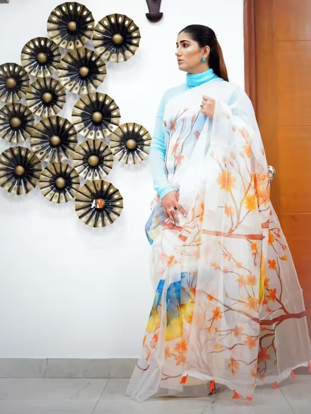 आलीशान घर की मालकिन है हरियाणा की देसी क्वीन Sapna Choudhary