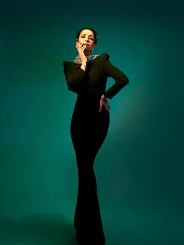 फिटनेस क्वीन Malaika Arora की कमाई और संपत्ति