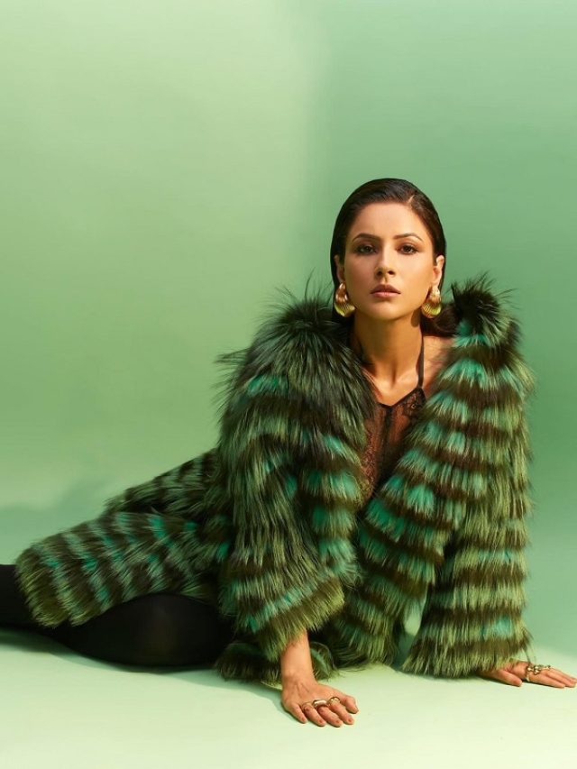 फर वाली ड्रेस में Shehnaaz Gill ने बिखेरा हुस्न का जलवा