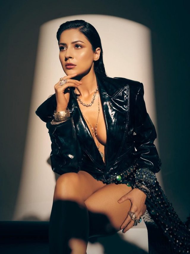 डीप नेक लेदर आउटफिट में साफ दिखे Shehnaaz Gill के क्लीवेज