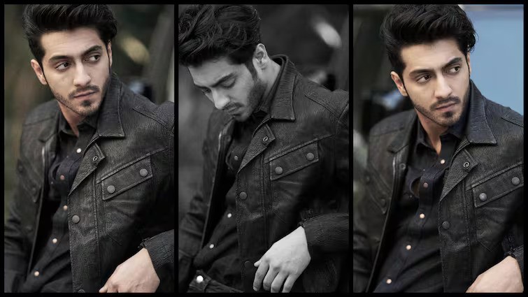 Ahaan Panday